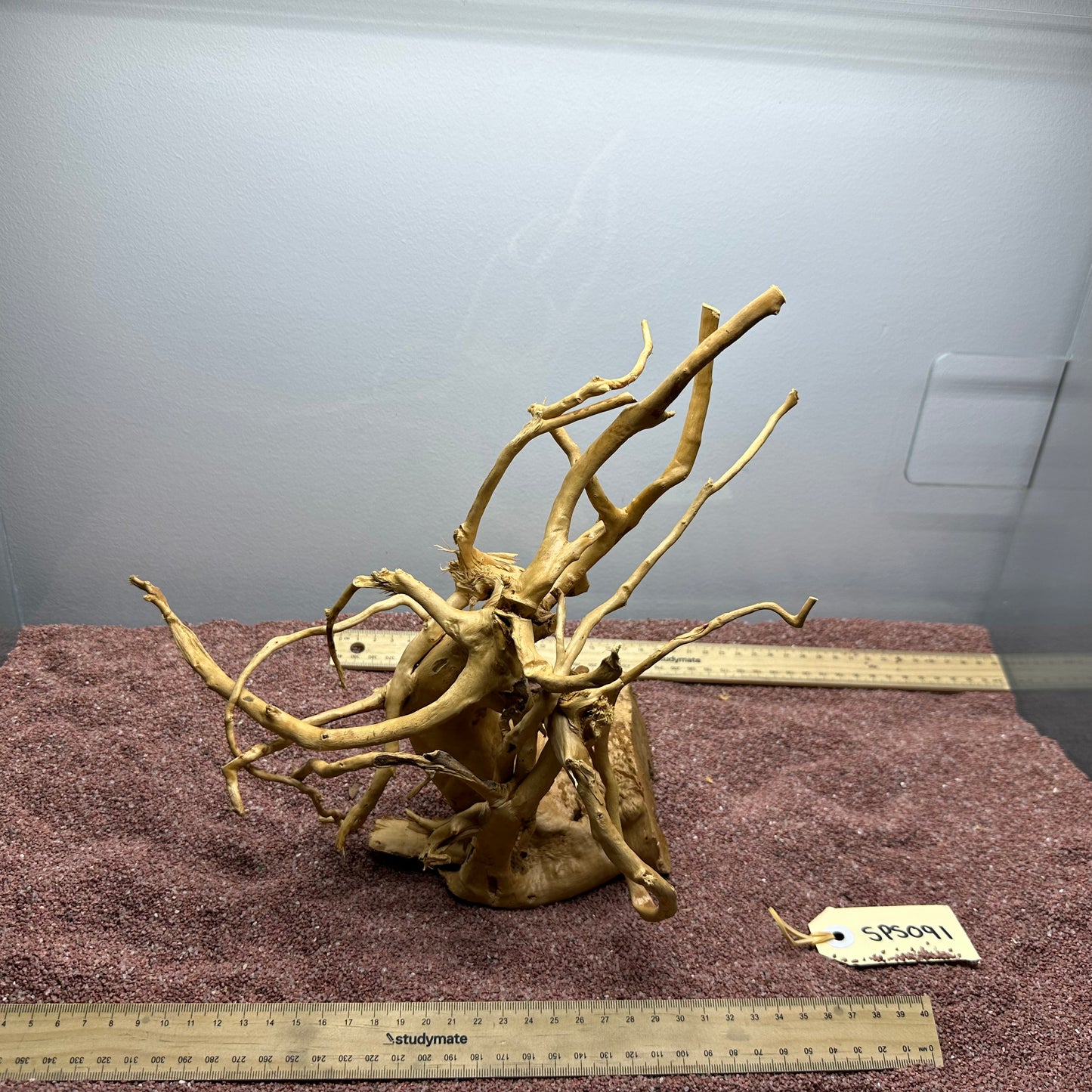 Spiderwood (Small)