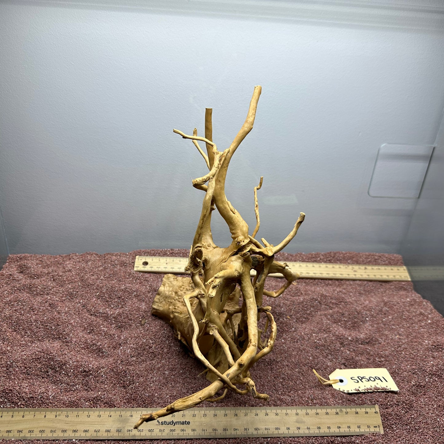 Spiderwood (Small)