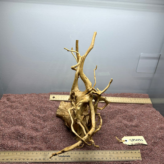 Spiderwood (Small)
