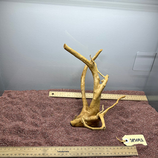 Spiderwood (Small)