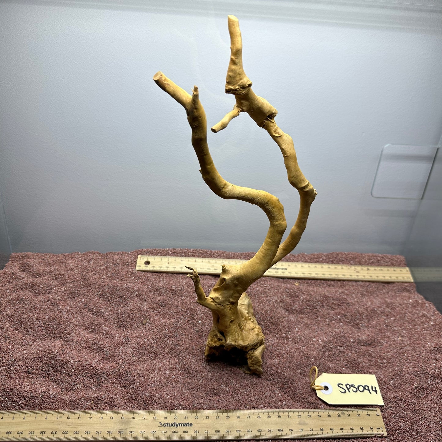 Spiderwood (Small)
