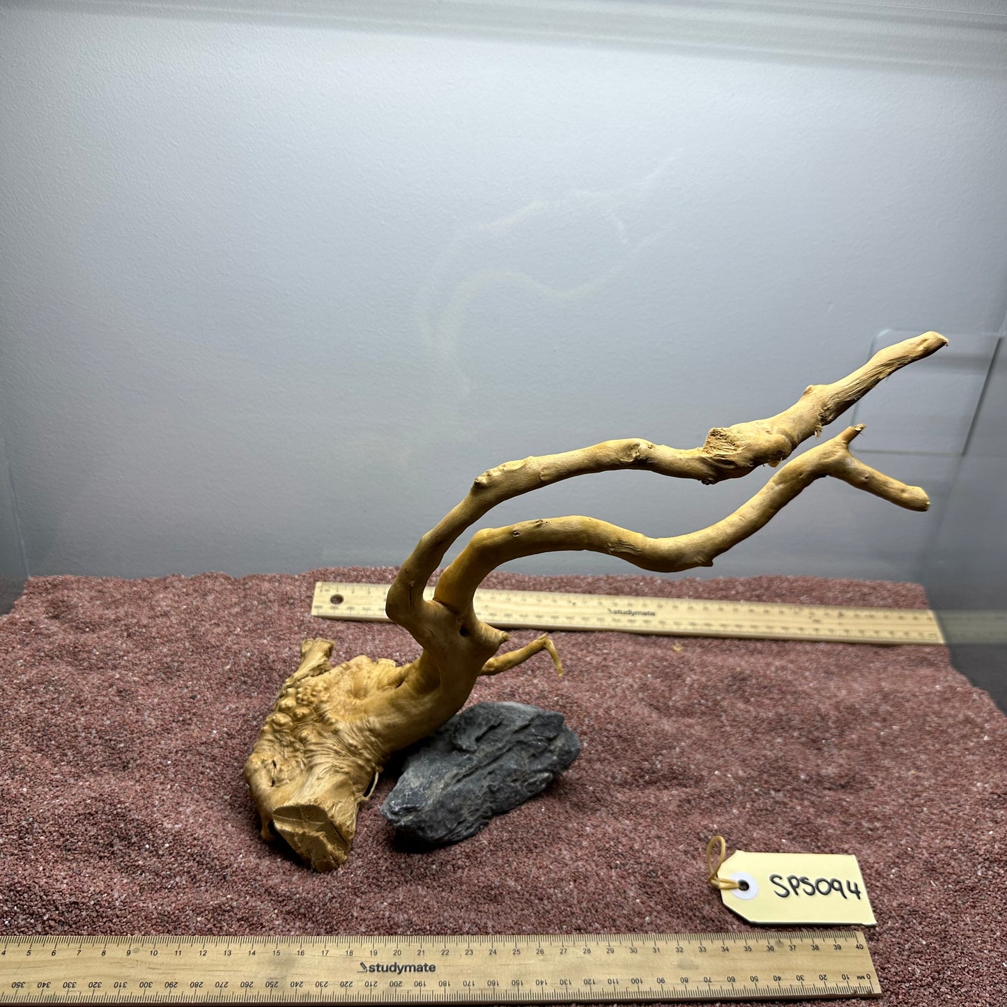 Spiderwood (Small)
