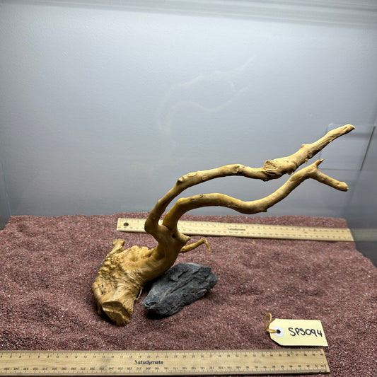 Spiderwood (Small)