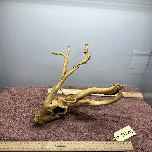 Spiderwood (Small)