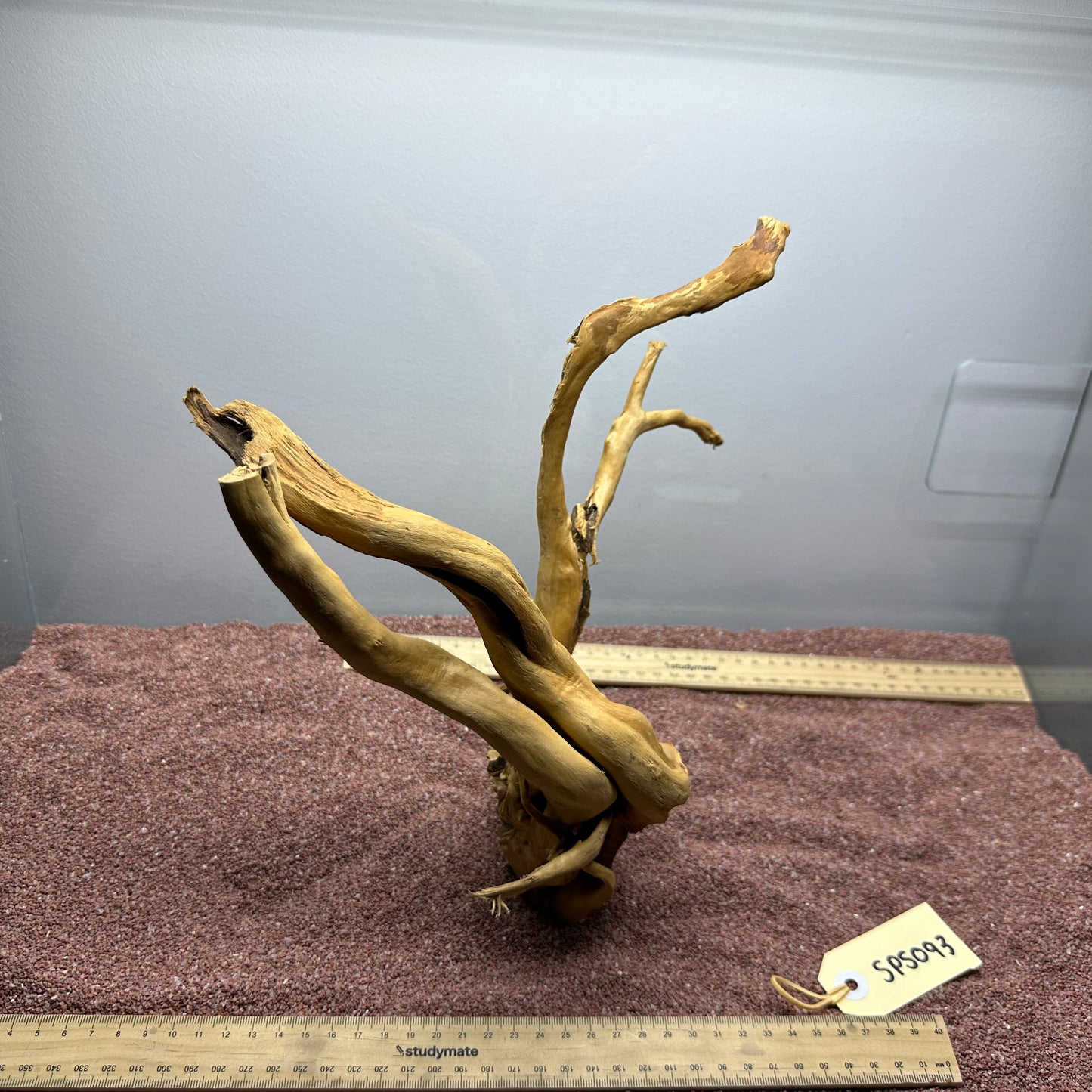 Spiderwood (Small)