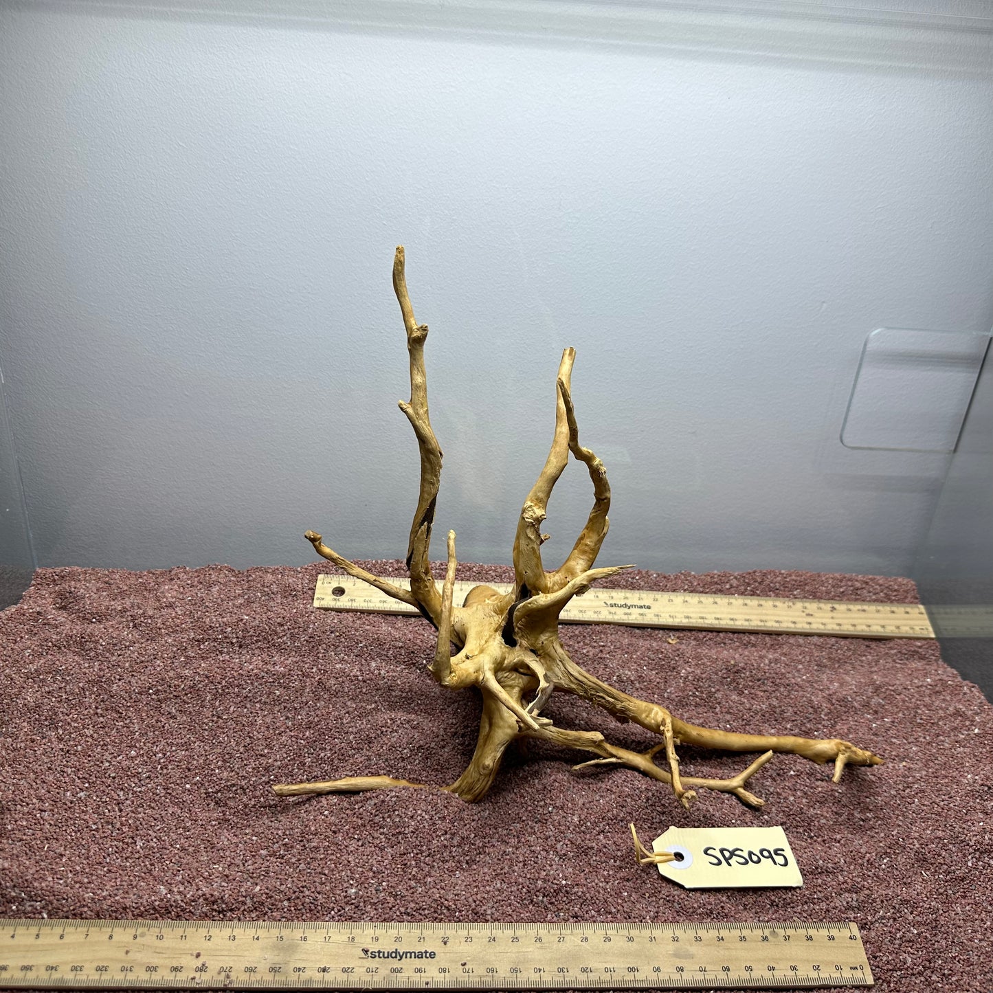 Spiderwood (Small)