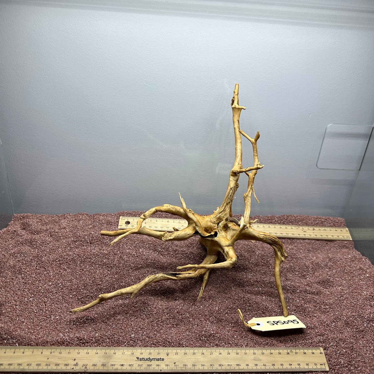 Spiderwood (Small)