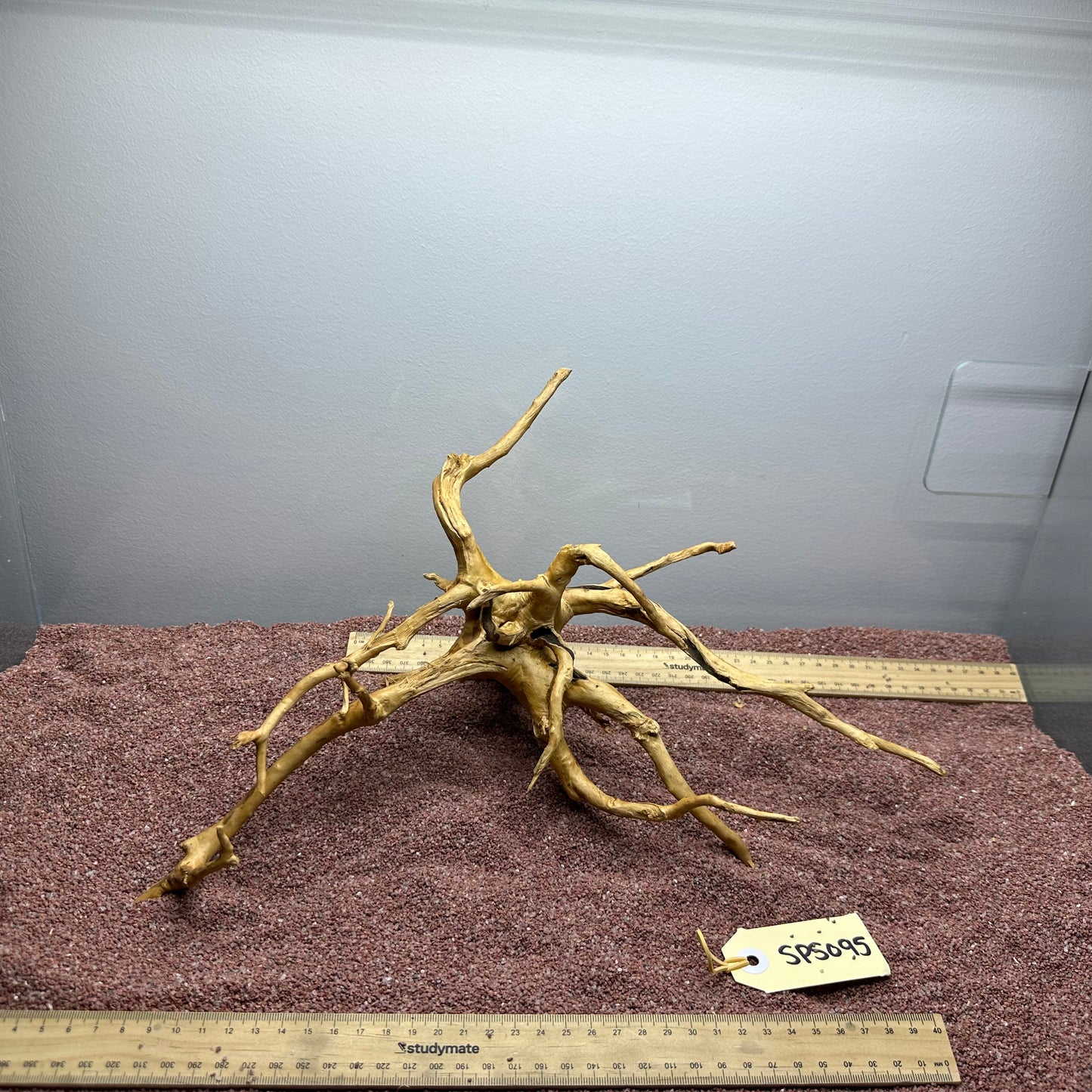Spiderwood (Small)