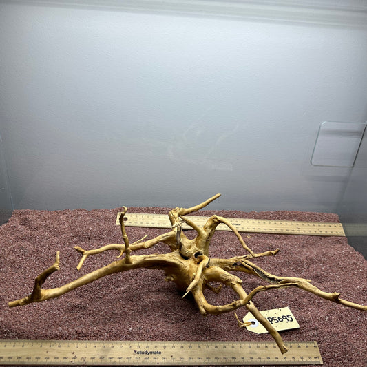 Spiderwood (Small)