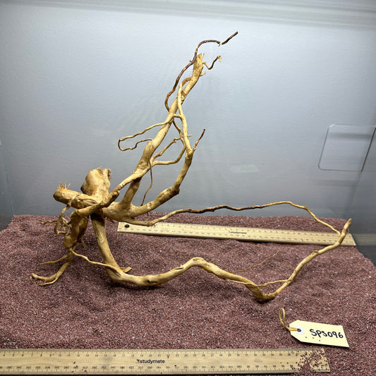 Spiderwood (Small)