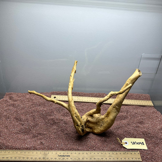 Spiderwood (Small)
