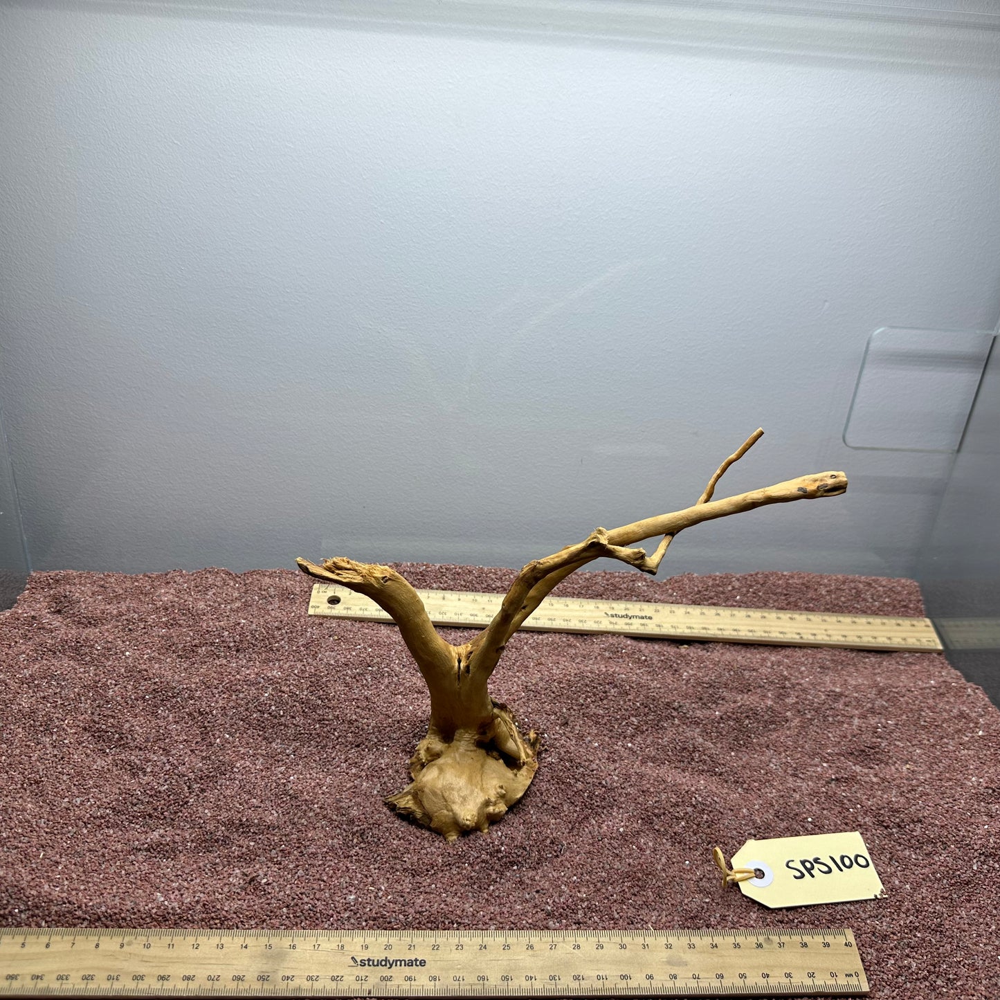 Spiderwood (Small)