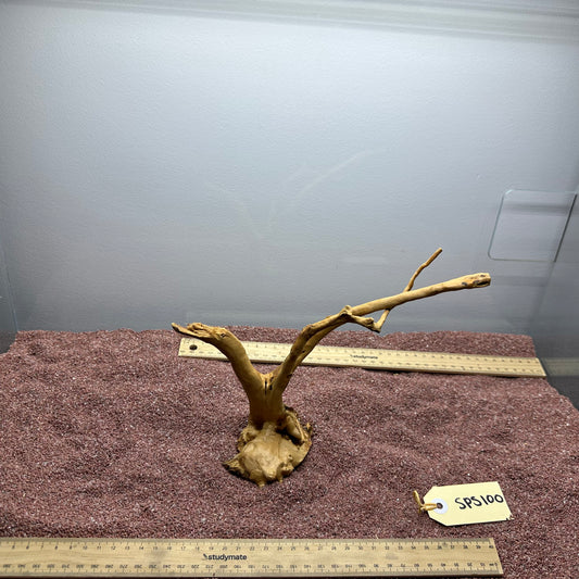 Spiderwood (Small)