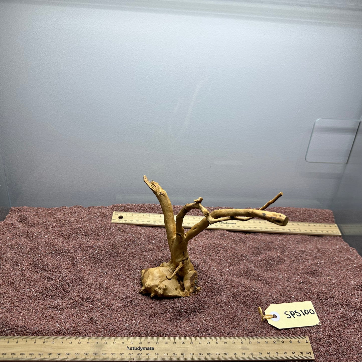 Spiderwood (Small)