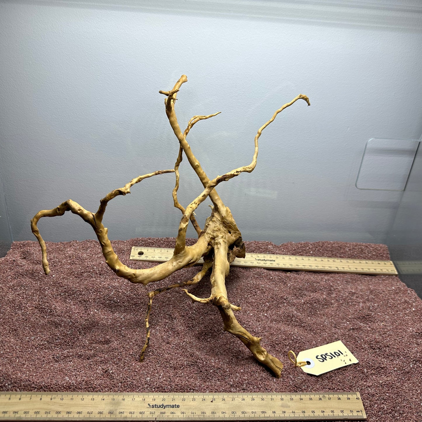 Spiderwood (Small)