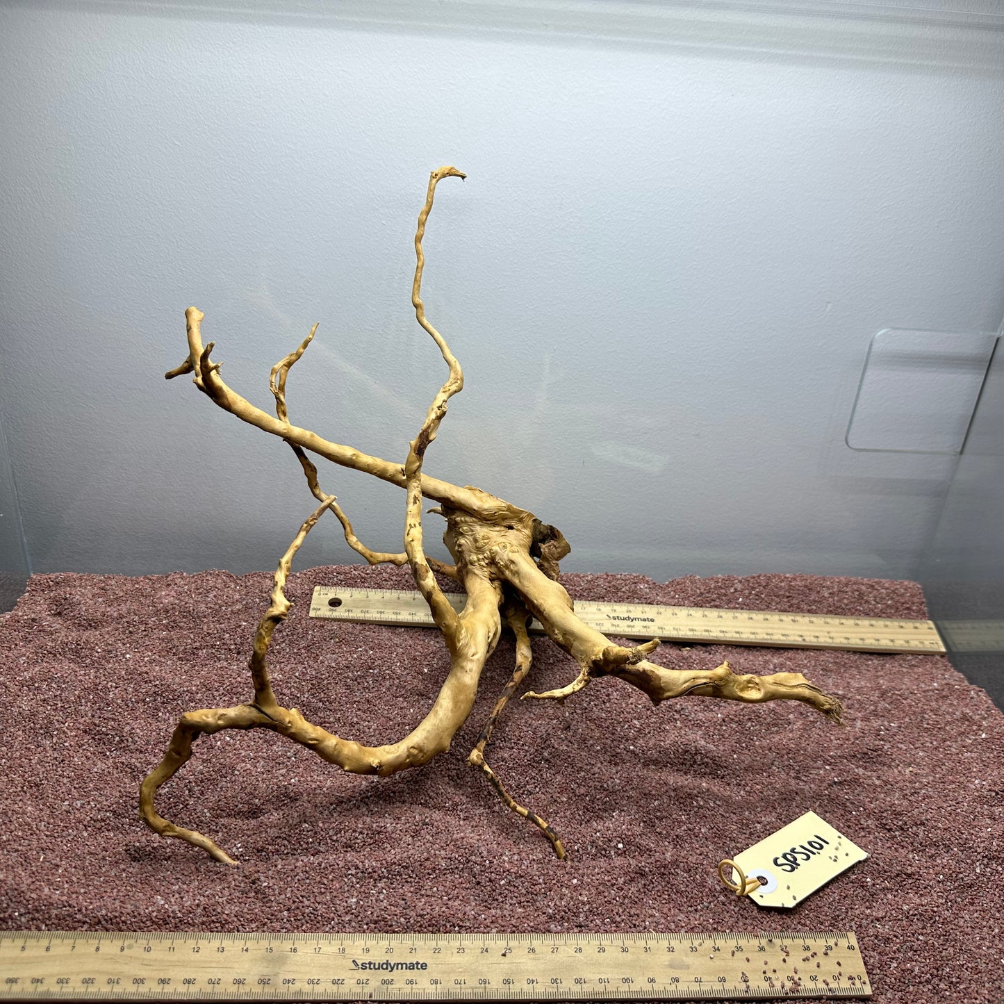 Spiderwood (Small)