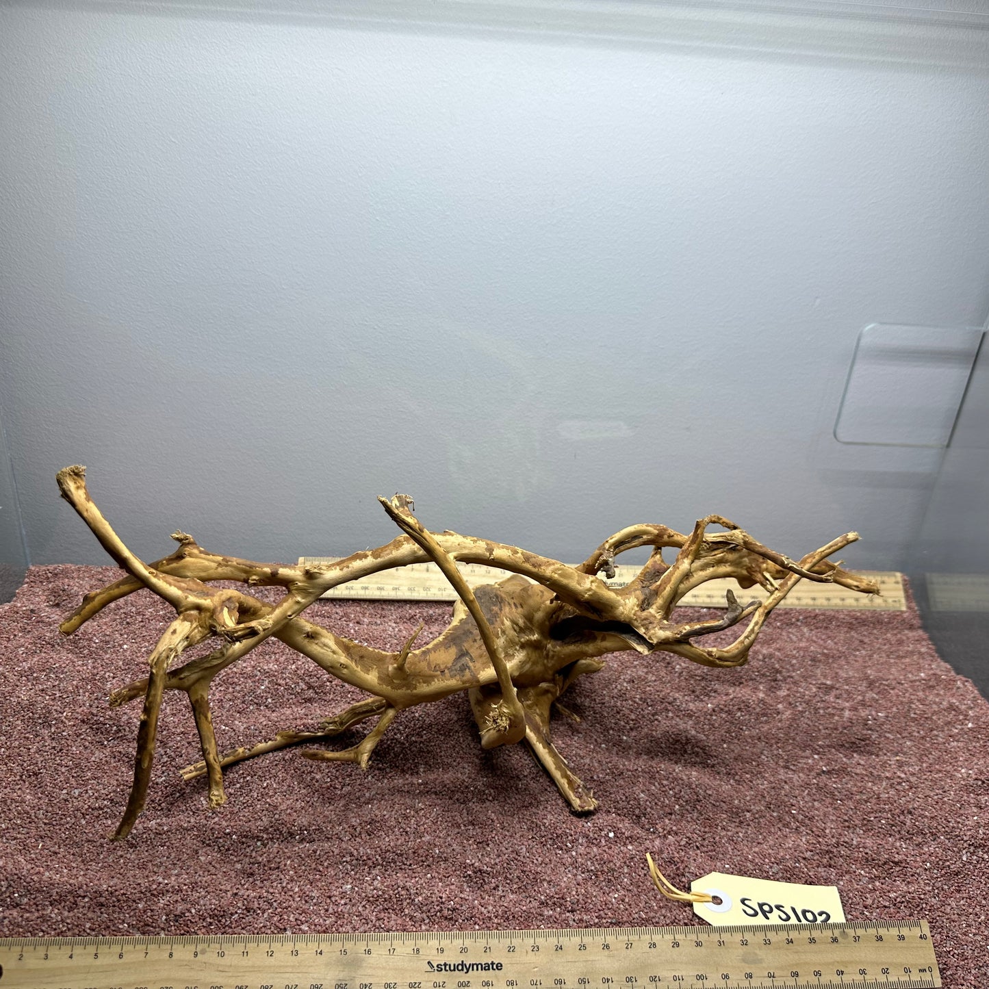 Spiderwood (Small)