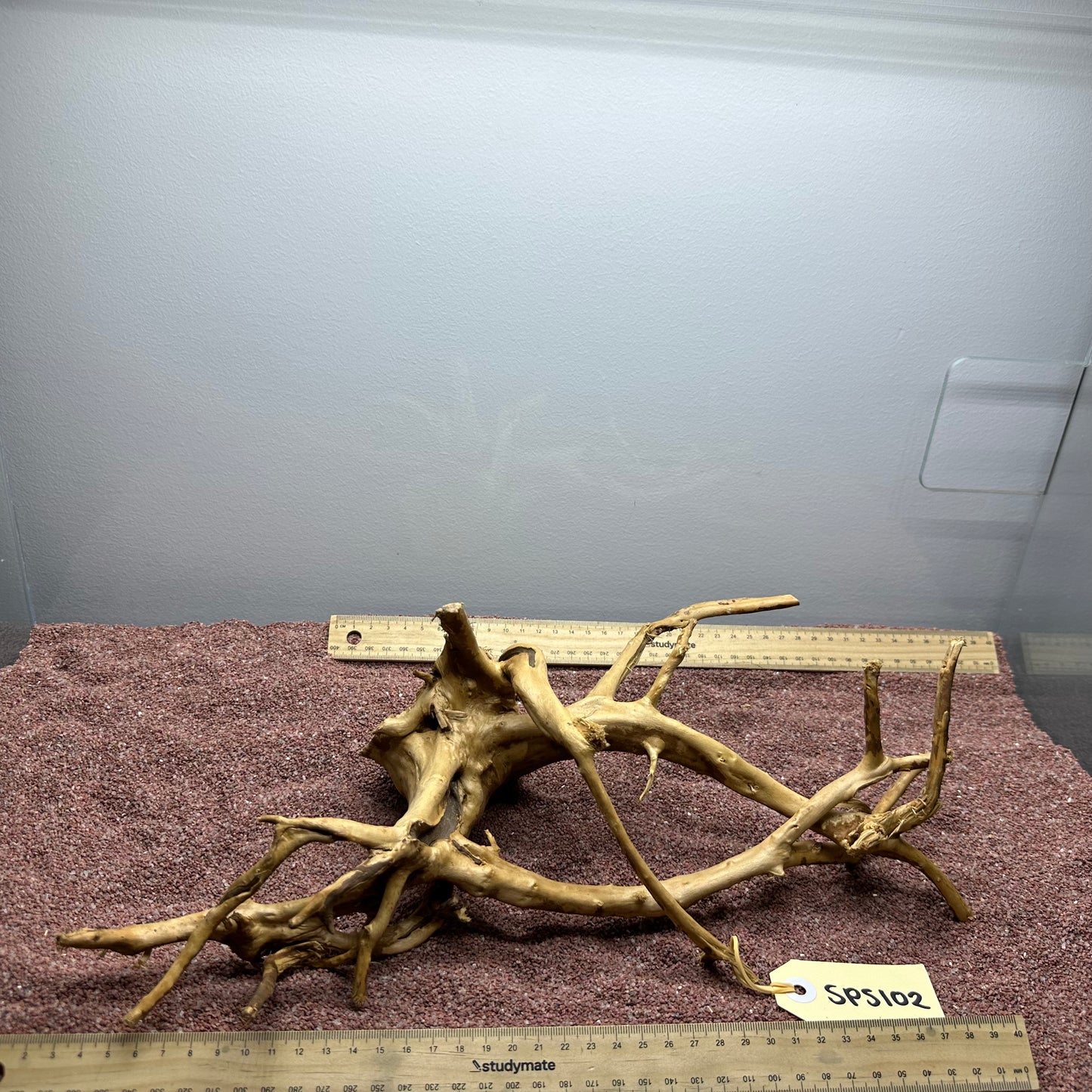 Spiderwood (Small)
