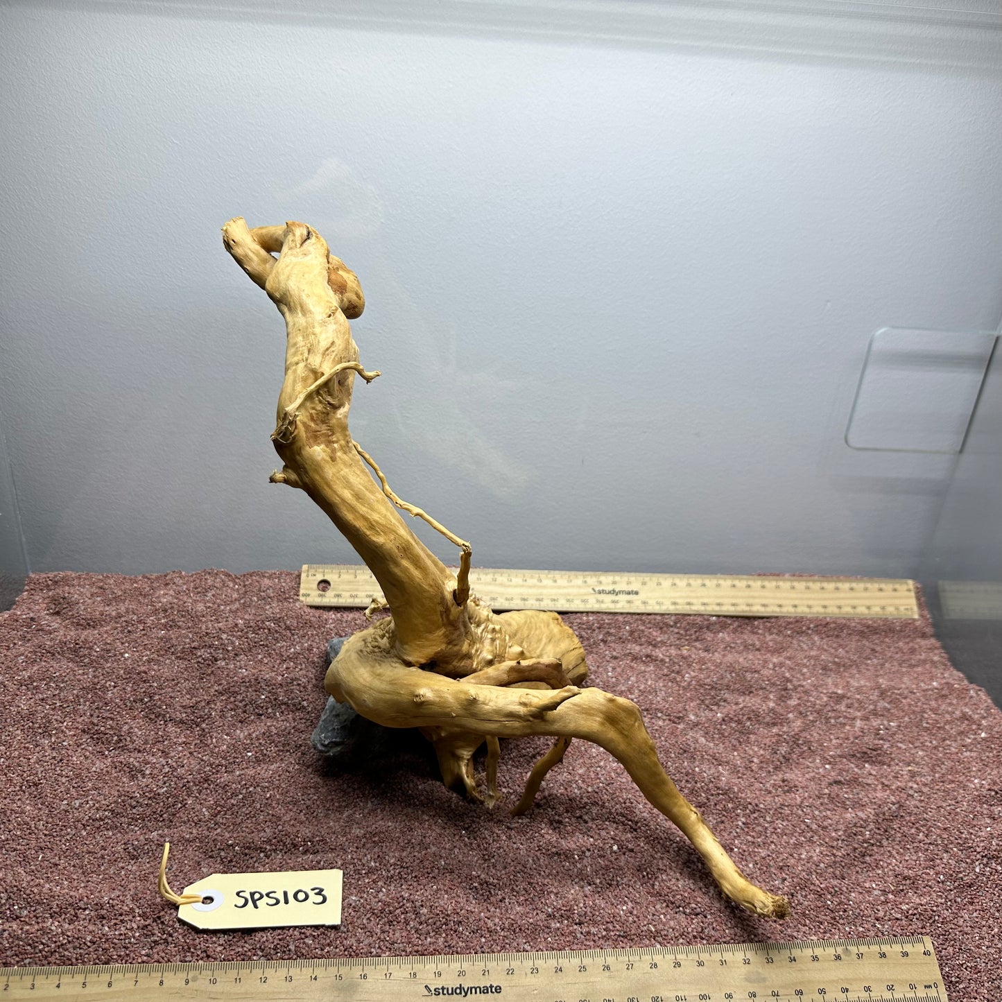 Spiderwood (Small)