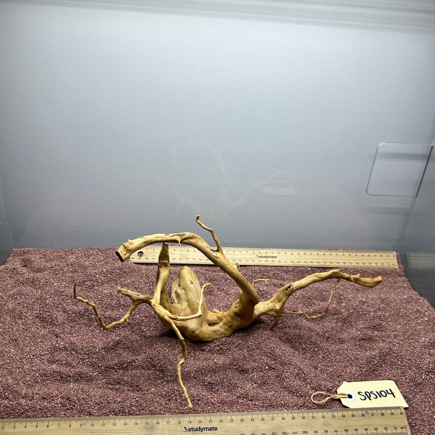 Spiderwood (Small)