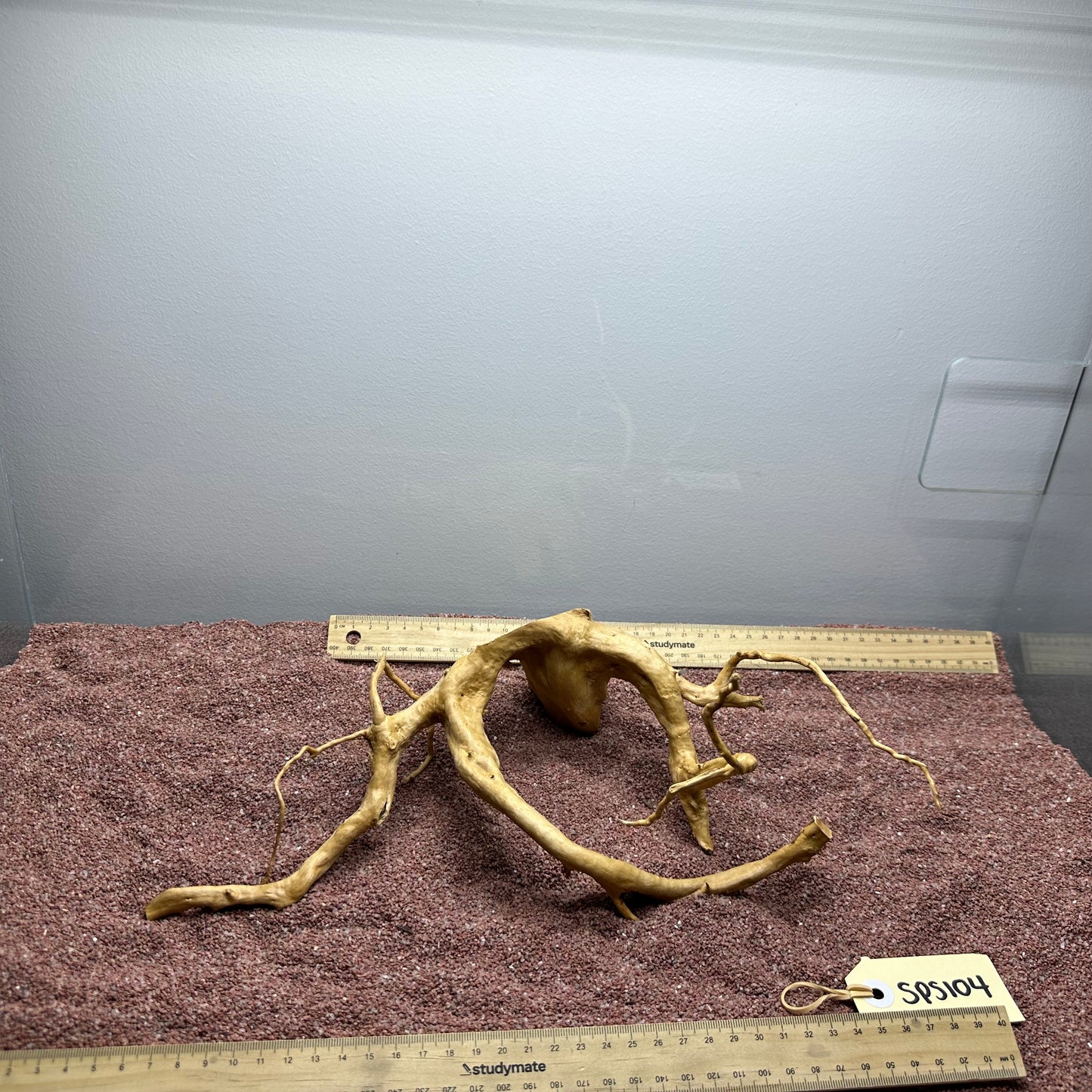 Spiderwood (Small)