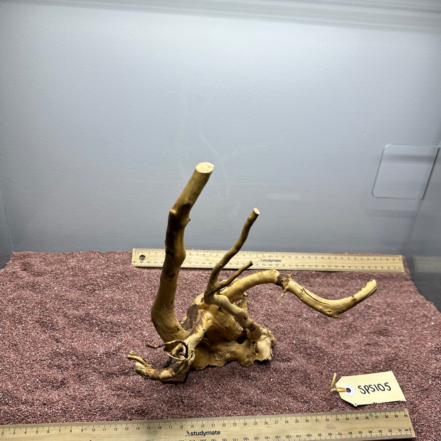 Spiderwood (Small)