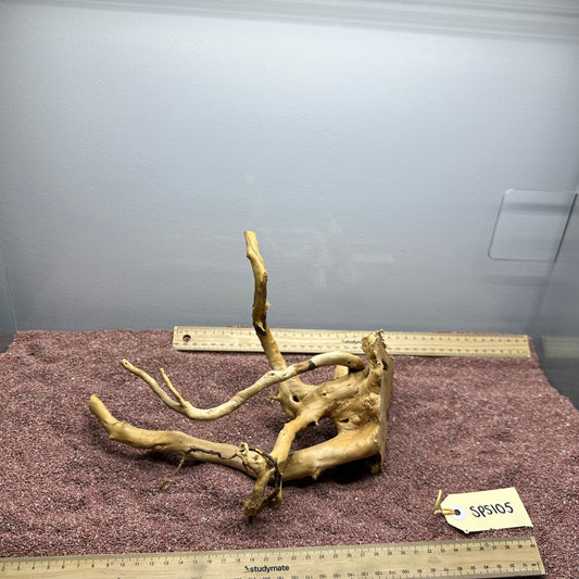 Spiderwood (Small)