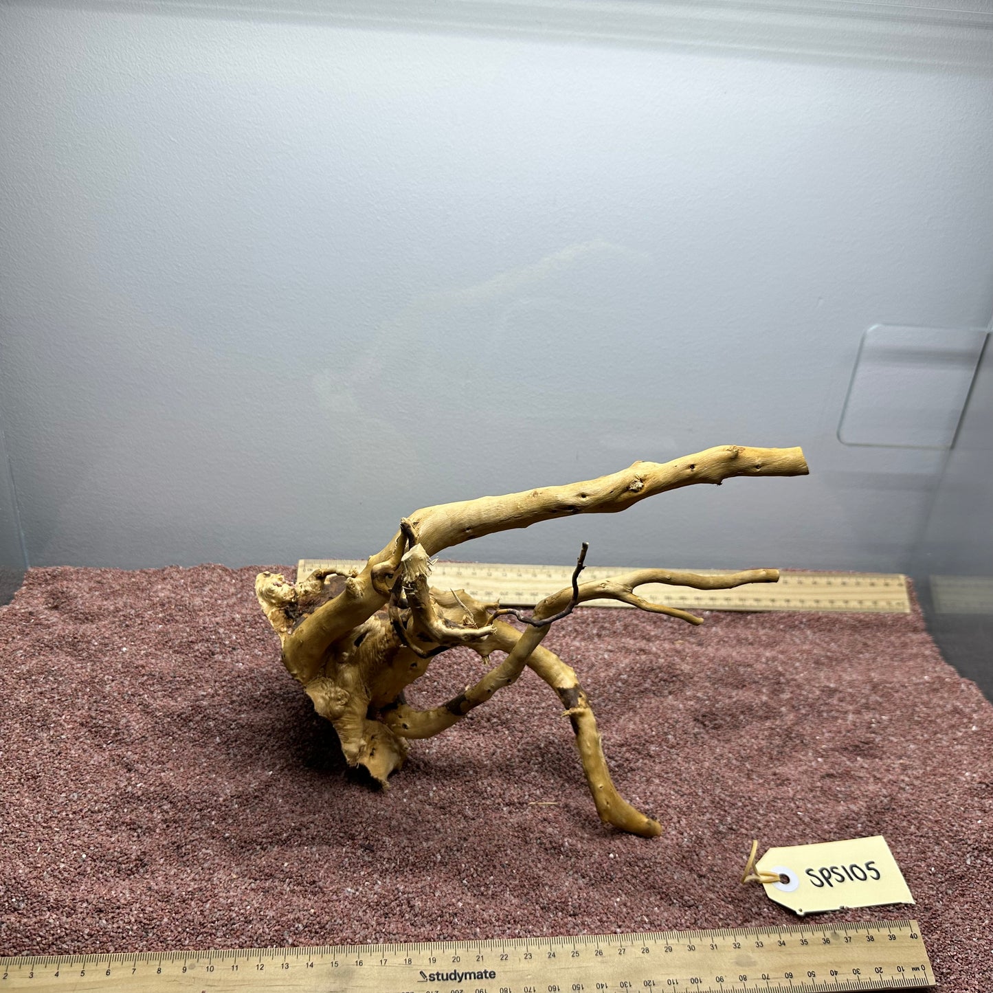 Spiderwood (Small)