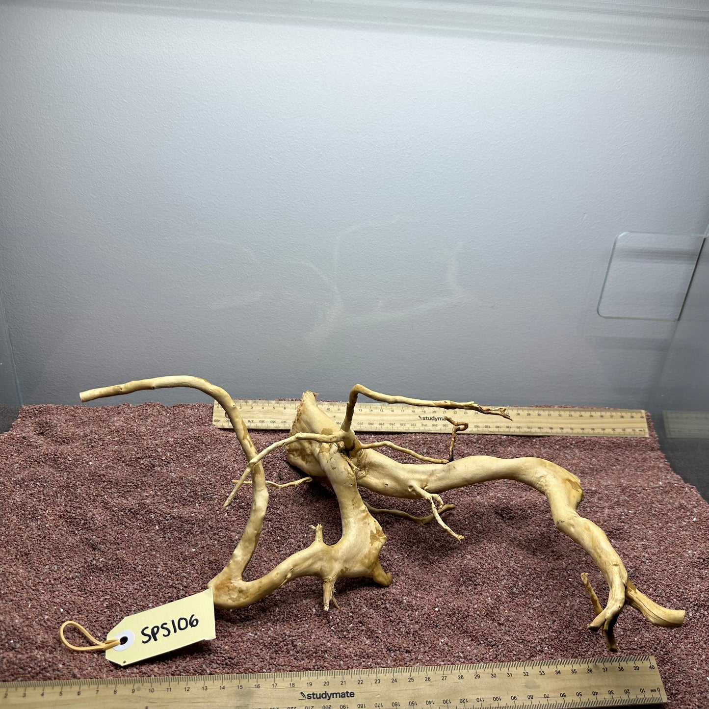 Spiderwood (Small)