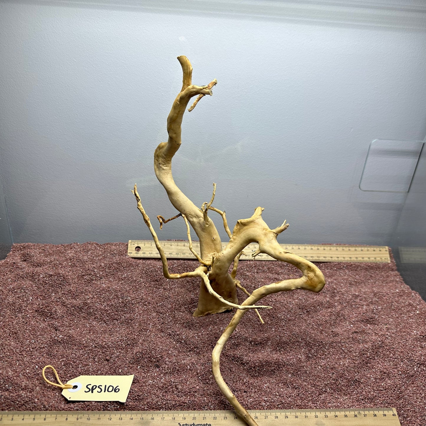 Spiderwood (Small)