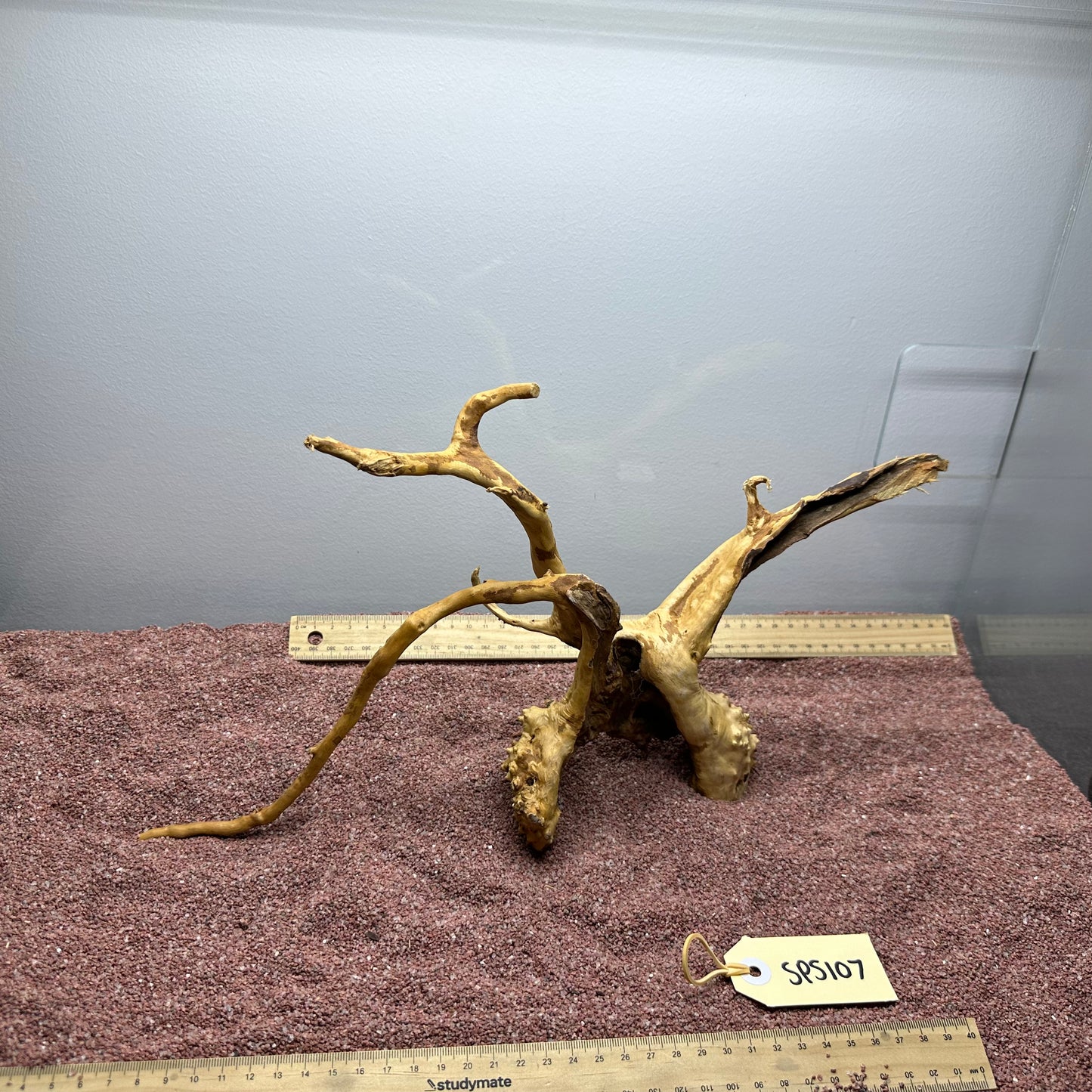 Spiderwood (Small)