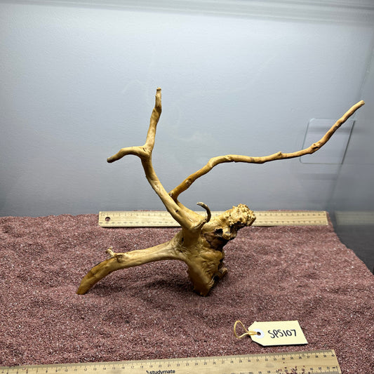 Spiderwood (Small)