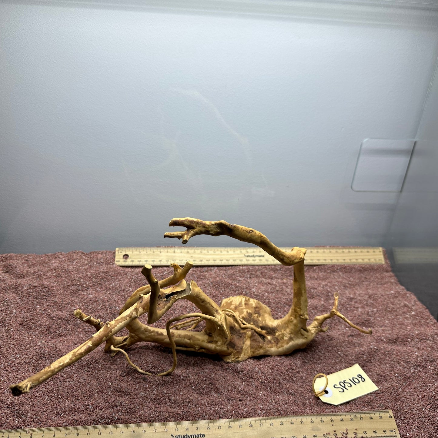 Spiderwood (Small)