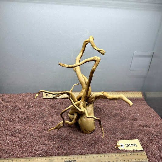 Spiderwood (Small)