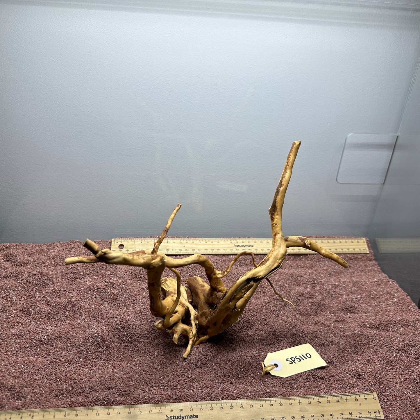 Spiderwood (Small)
