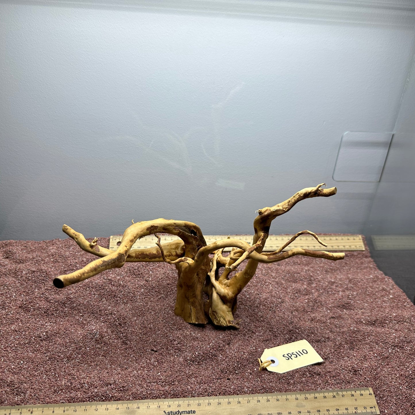 Spiderwood (Small)