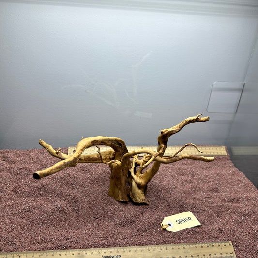 Spiderwood (Small)