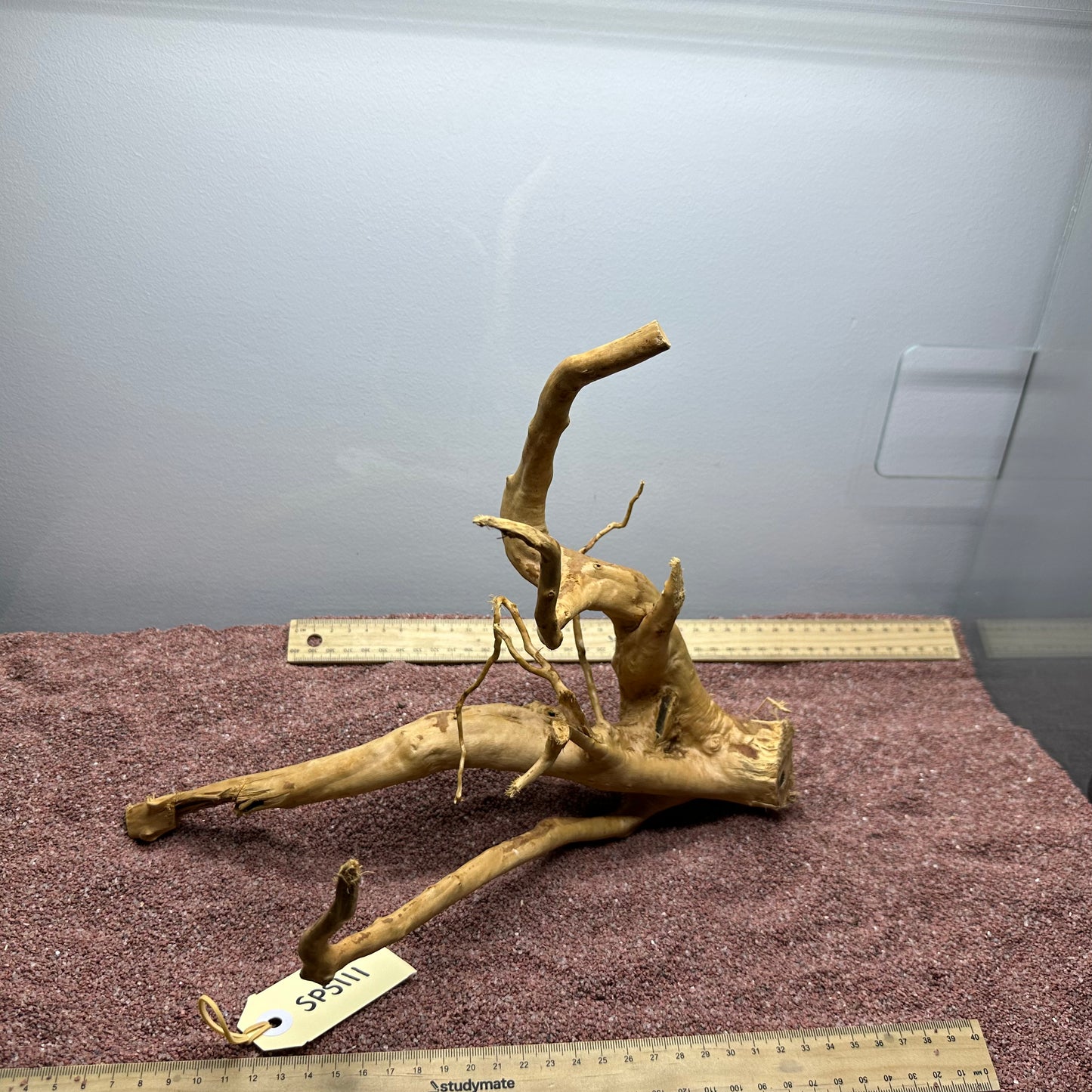 Spiderwood (Small)