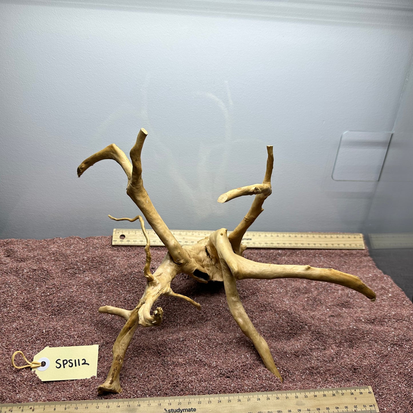 Spiderwood (Small)