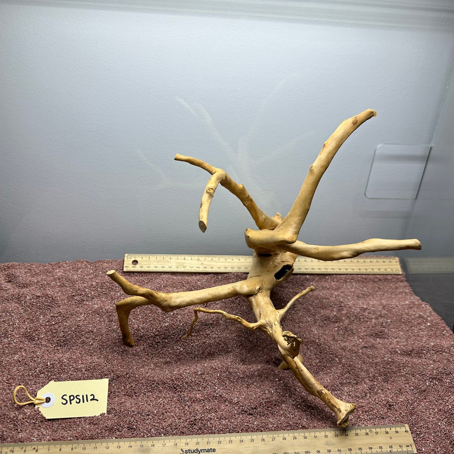 Spiderwood (Small)