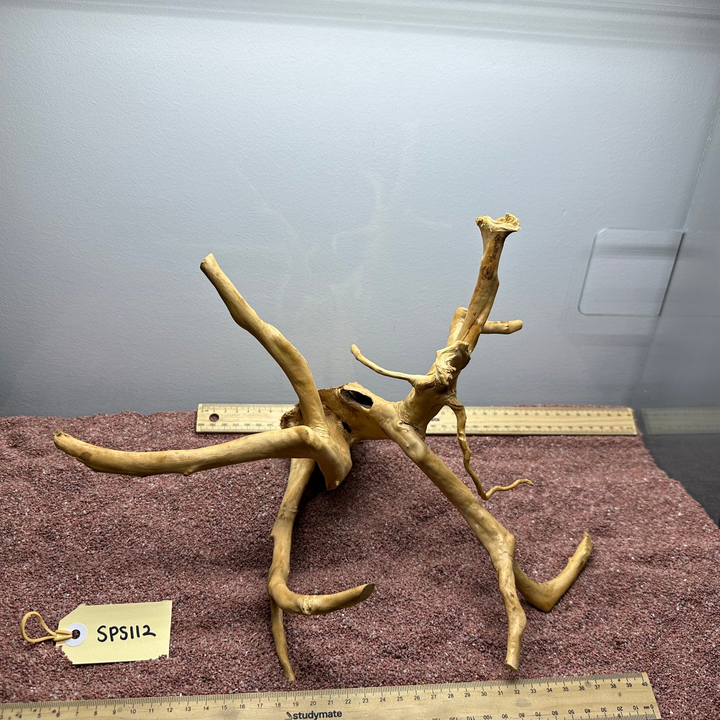 Spiderwood (Small)