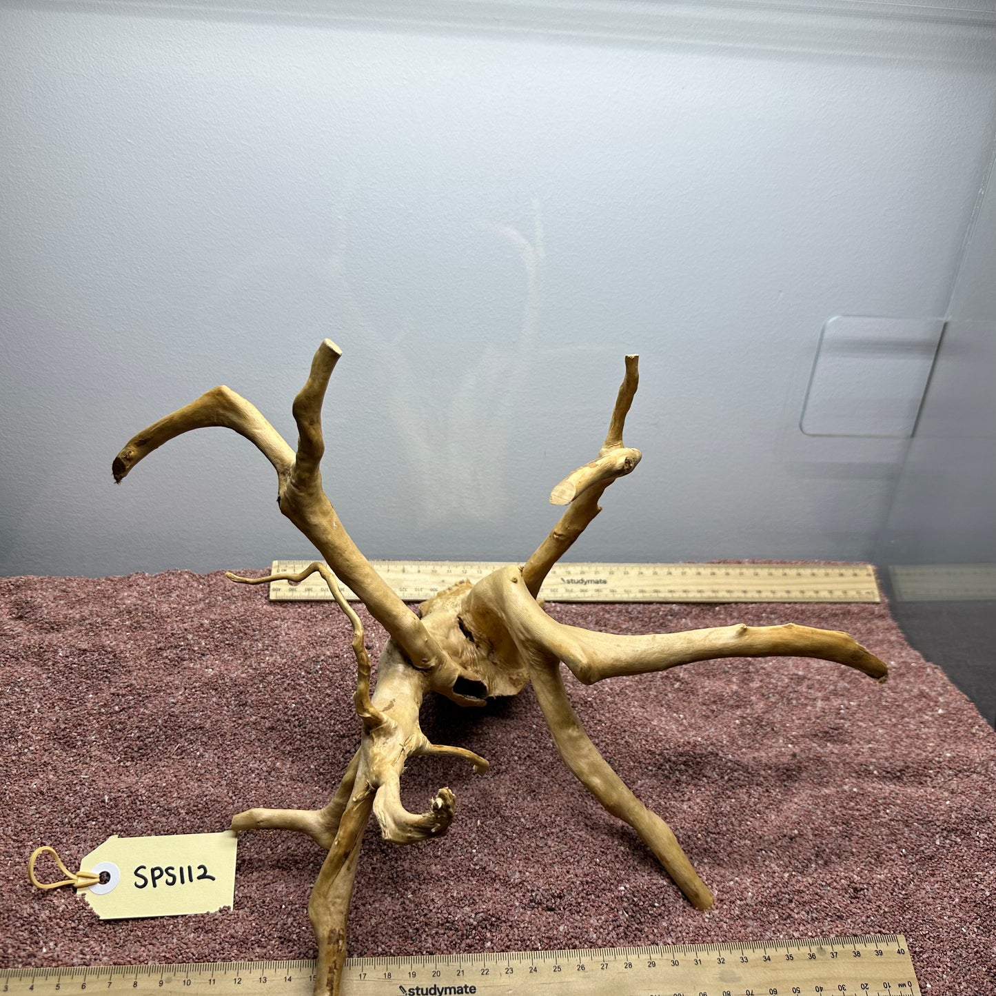Spiderwood (Small)