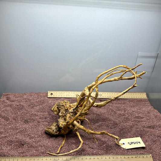 Spiderwood (Small)