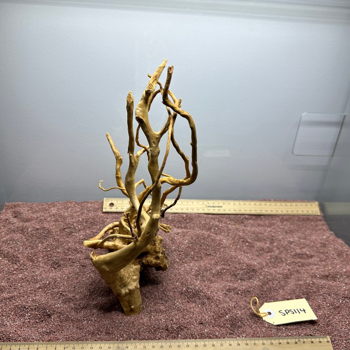 Spiderwood (Small)
