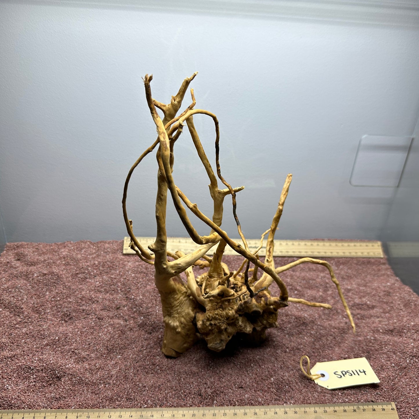 Spiderwood (Small)