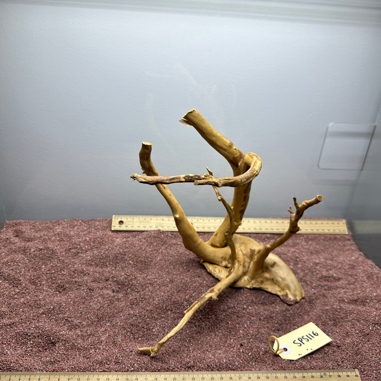 Spiderwood (Small)