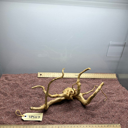 Spiderwood (Small)