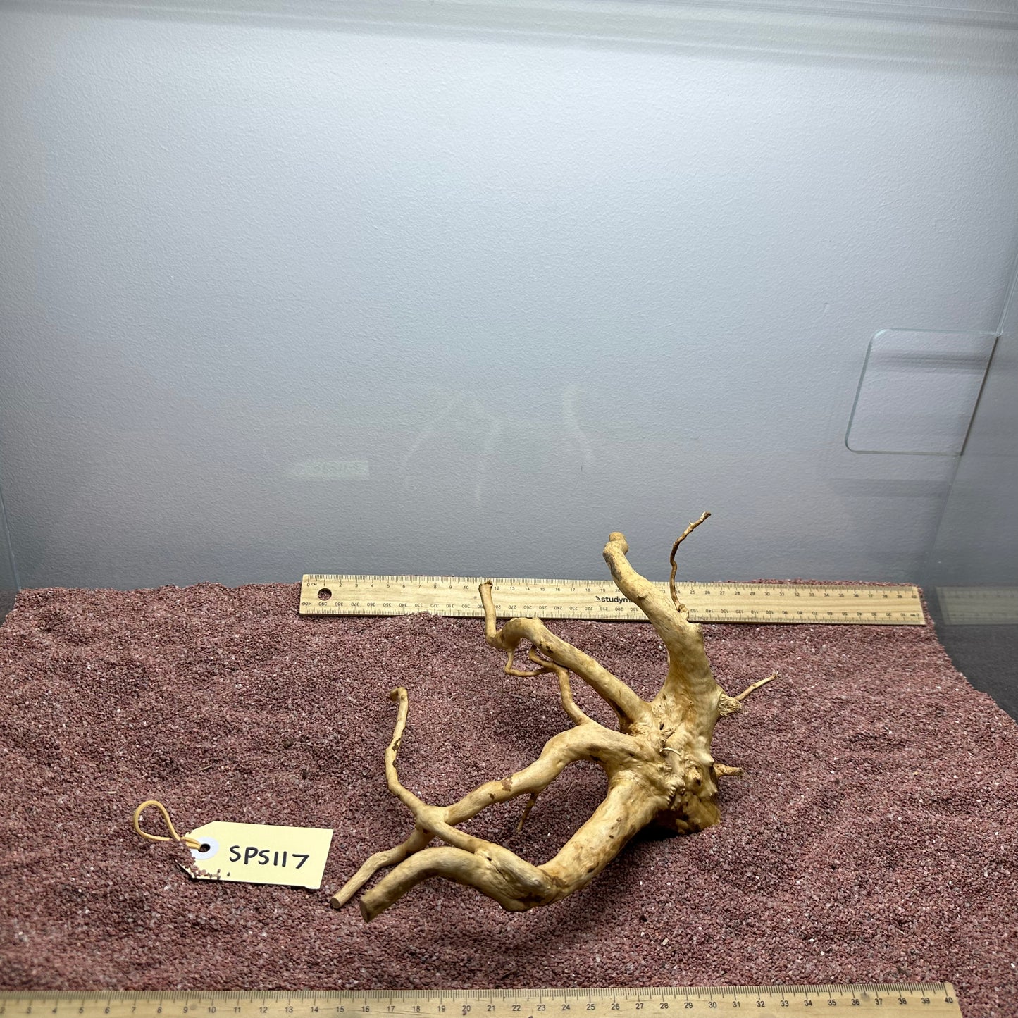 Spiderwood (Small)