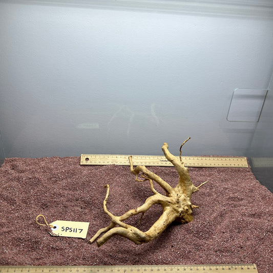 Spiderwood (Small)
