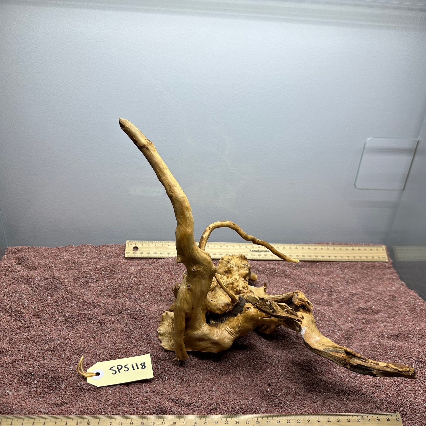 Spiderwood (Small)